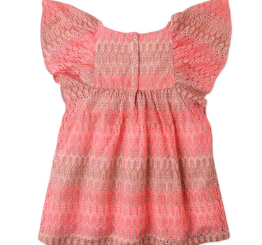 Gingersnaps Multicolor Lace Empire Dress with Butterfly Sleeves