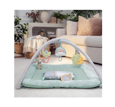 Ingenuity Calm Springs Plush Activity Baby Gym