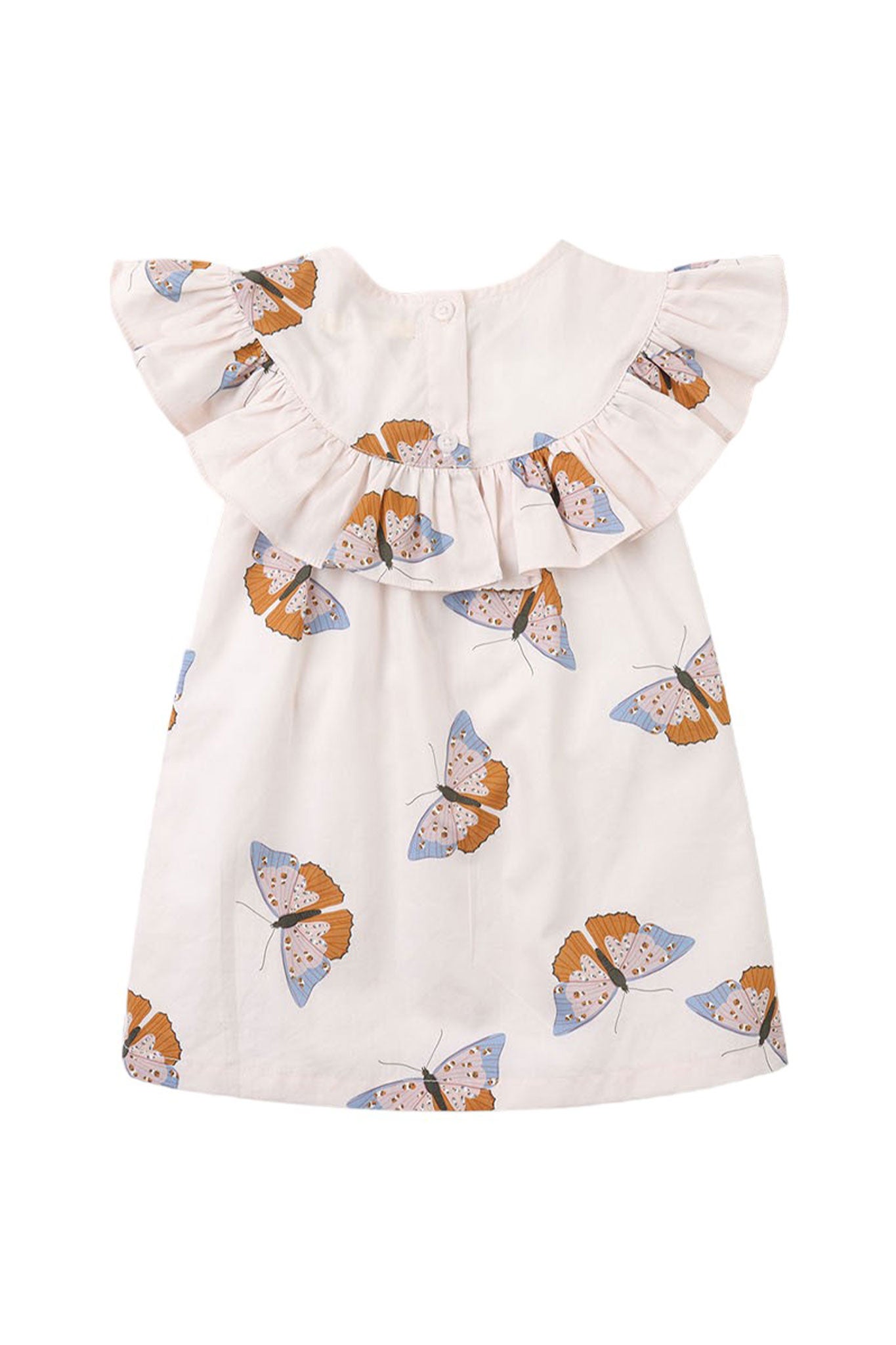 MULTICOLOR / 6 MONTHS