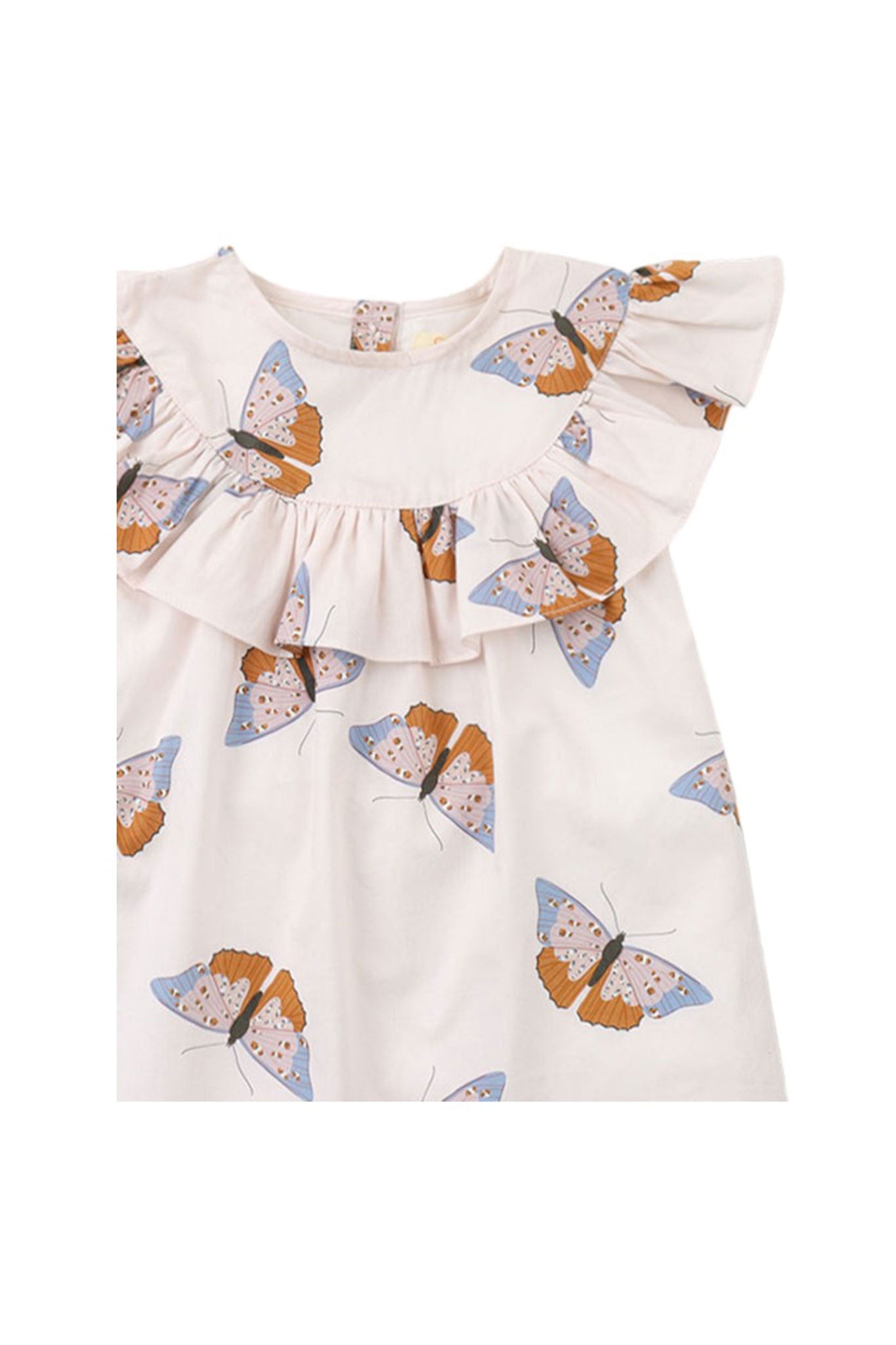 MULTICOLOR / 6 MONTHS