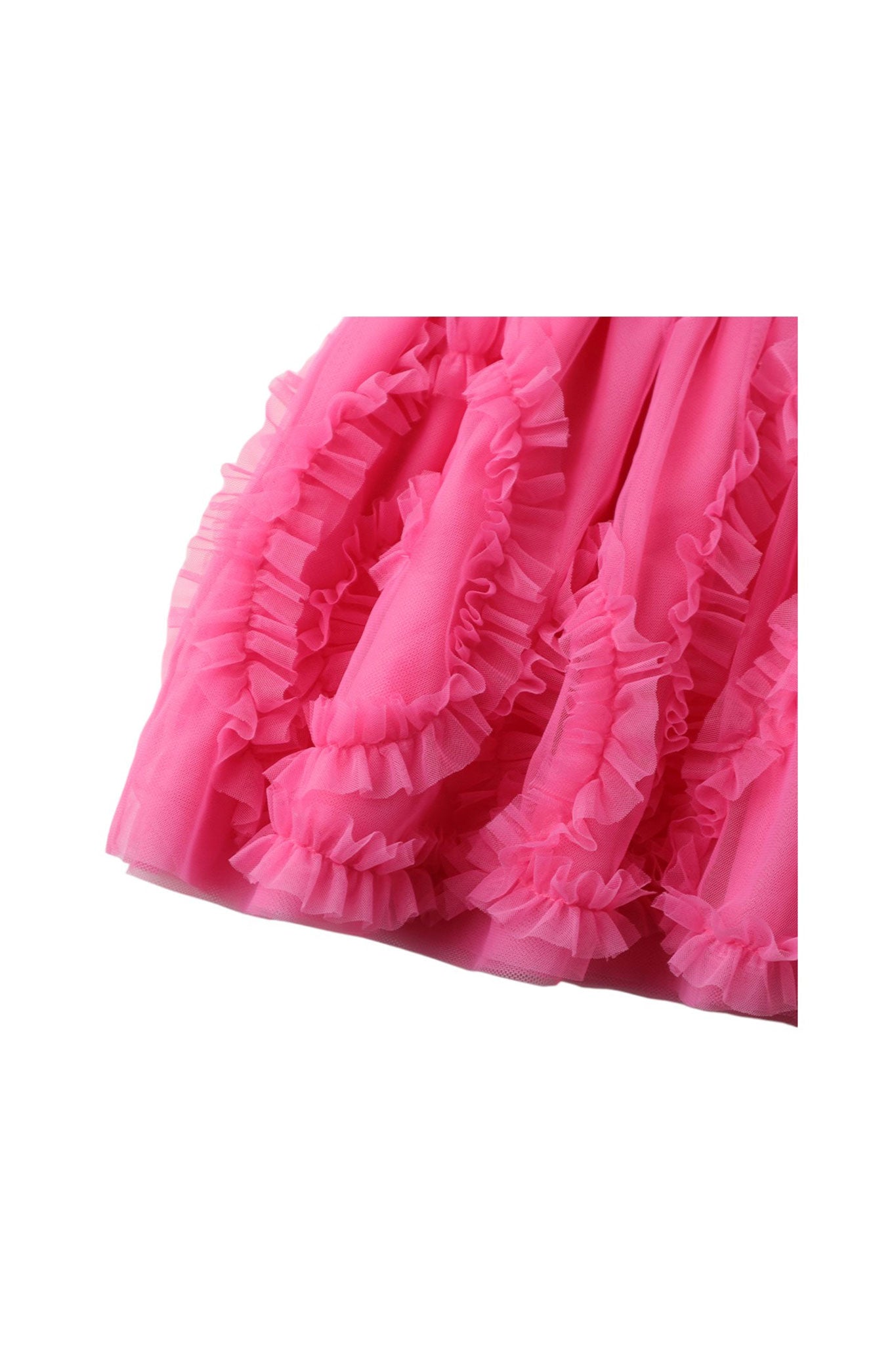 PINK COSMOS / 24 MONTHS