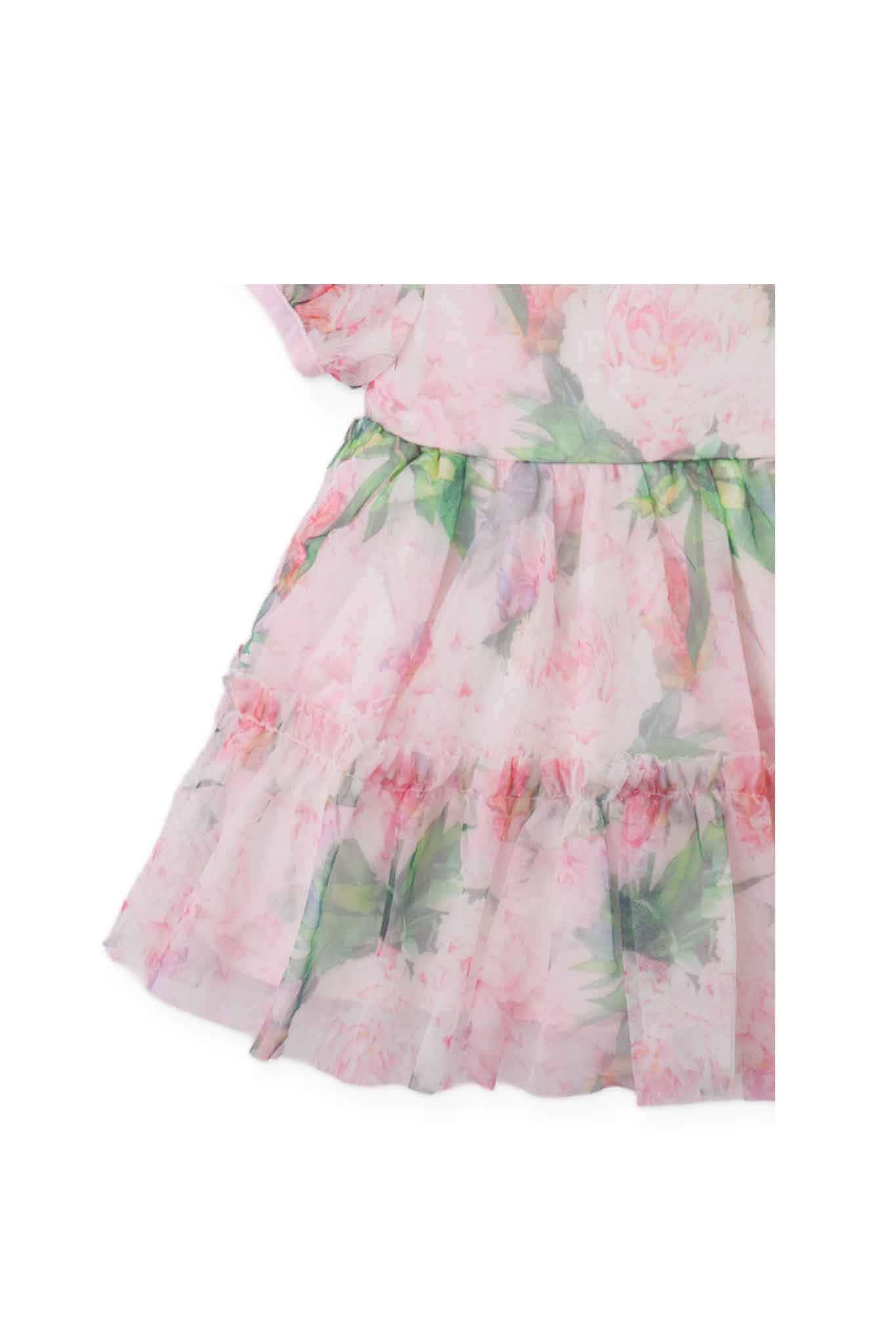 Gingersnaps Puffed-Sleeve Tiered Dress with All-Over Floral Print on Tulle