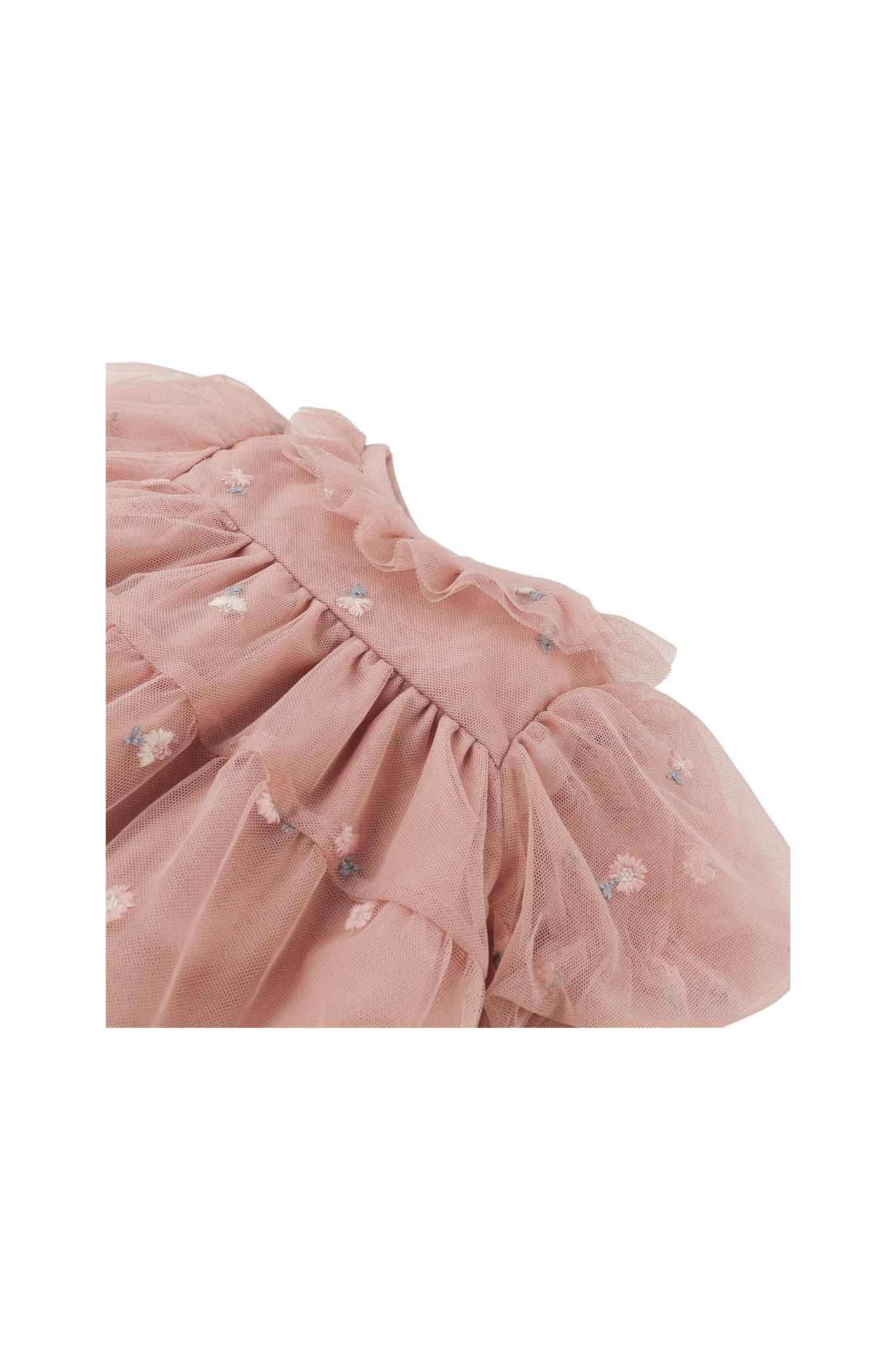 Gingersnaps Puff Sleeve Embroidered Tulle Dress with Ruffle Collar