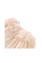Load image into Gallery viewer, Gingersnaps Tiered Tulle Skirt
