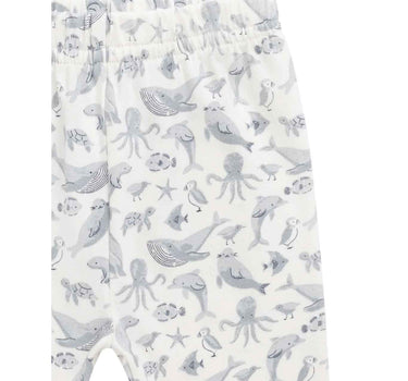 Jamie Kay Organic Cotton Everyday Legging