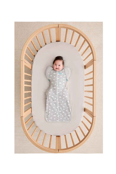 Love To Dream Swaddle Up Transition Bag Stage 2 1.0 Tog Viscose From Bamboo Daydream Grey