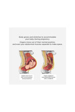 Load image into Gallery viewer, Lunavie Premium Postpartum Abdominal Binder

