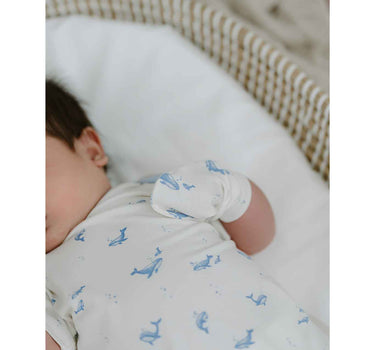 Not Too Big Whaley Accessories 2 Piece