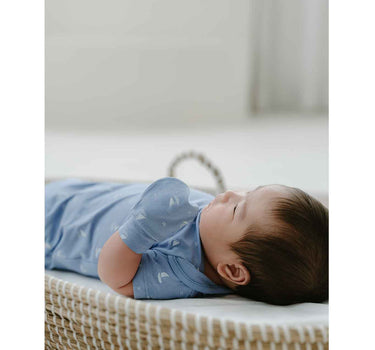 Not Too Big Whaley Accessories 2 Piece