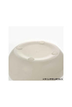 Load image into Gallery viewer, RICHELL T.L.I Easy Scoop Plate M
