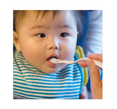 RICHELL T.L.I Soft Weaning Spoon Set with Case