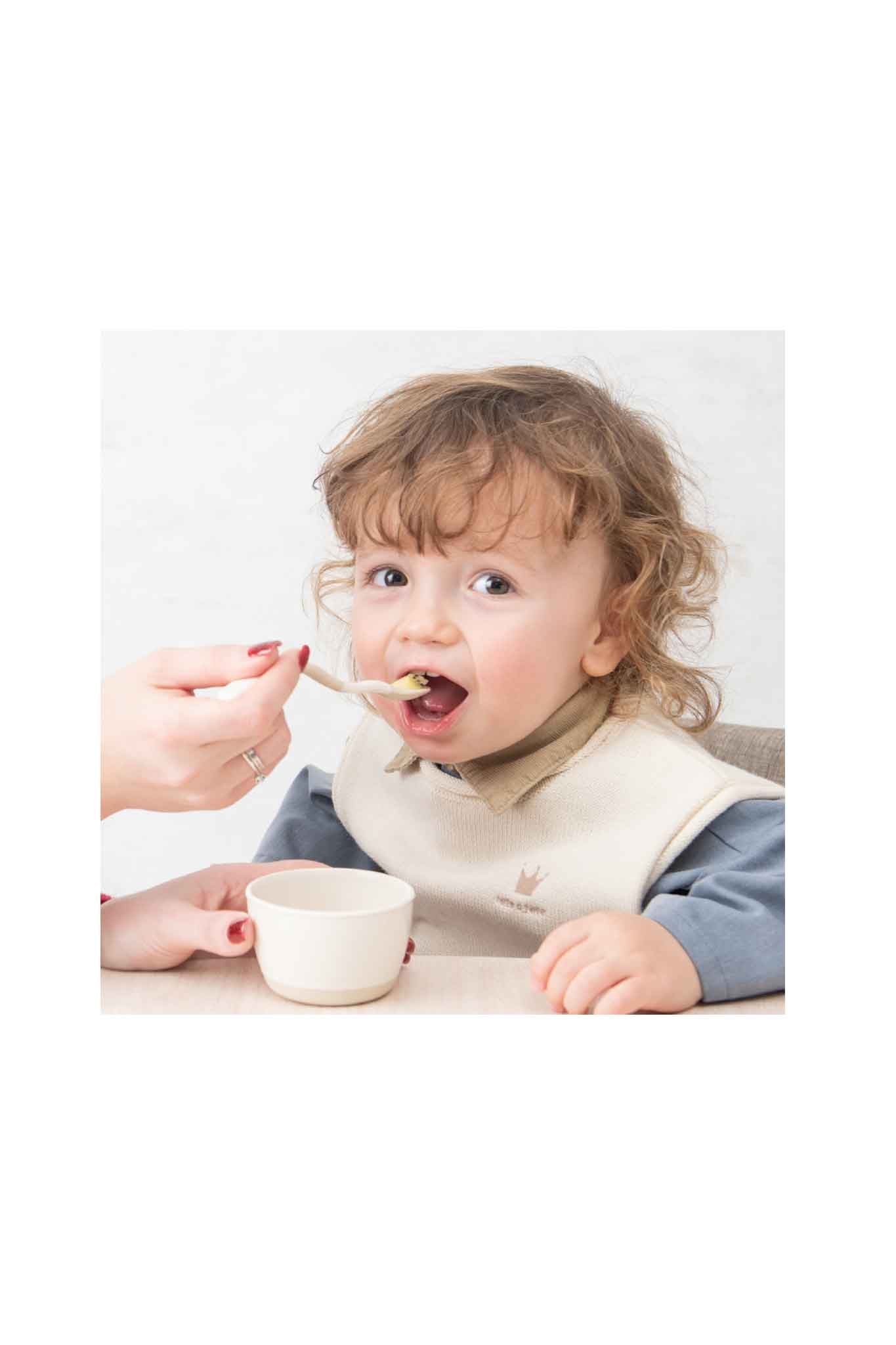 RICHELL T.L.I Soft Weaning Spoon Set with Case