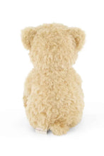 Load image into Gallery viewer, Snuggle Bunnies - Arthur The Bear
