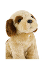 Load image into Gallery viewer, Snuggle Bunnies - Coco The Shih Tzu
