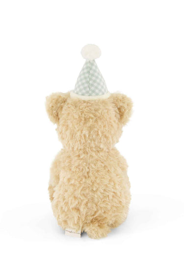 Snuggle Bunnies - Birthday Arthur - Gingham Hat
