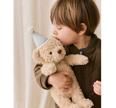 Snuggle Bunnies - Birthday Arthur - Gingham Hat