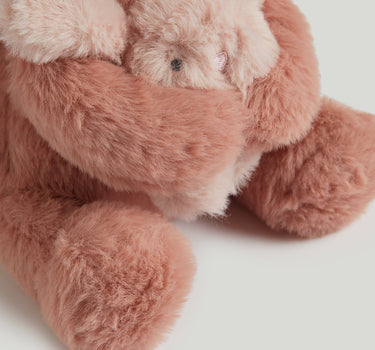 Mothercare Mummy And Baby Bunny Plush