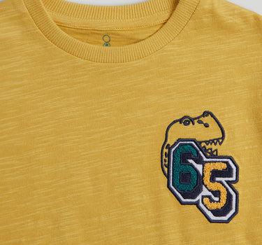 Mothercare Dino Badge T-Shirt