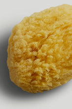 Load image into Gallery viewer, Mothercare Bath Accessories Sponge 1pk Natural
