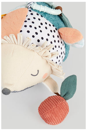 Mothercare Hedgehog Activity Toy