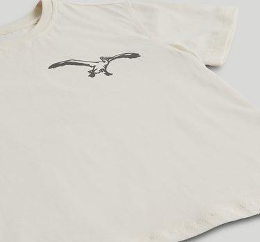 Mothercare Seersucker Shirt and Pelican T-Shirt Set