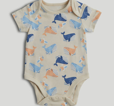 Mothercare Whales Short-Sleeved Bodysuits - 5 Pack