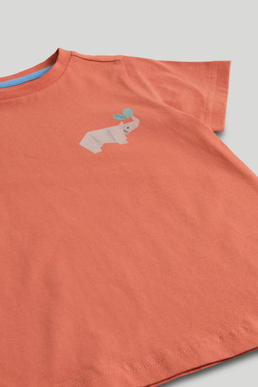 Mothercare T-shirt and Shorts Outfit - 2 Pack