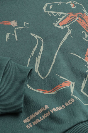 Mothercare Green Dinosaur Sweat Top