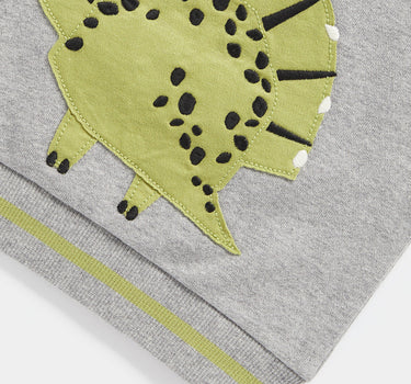 Mothercare Grey Dinosaur Sweat Top