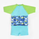 BLUE V01 / 2 - 3 YEARS