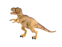 Load image into Gallery viewer, T-REX
