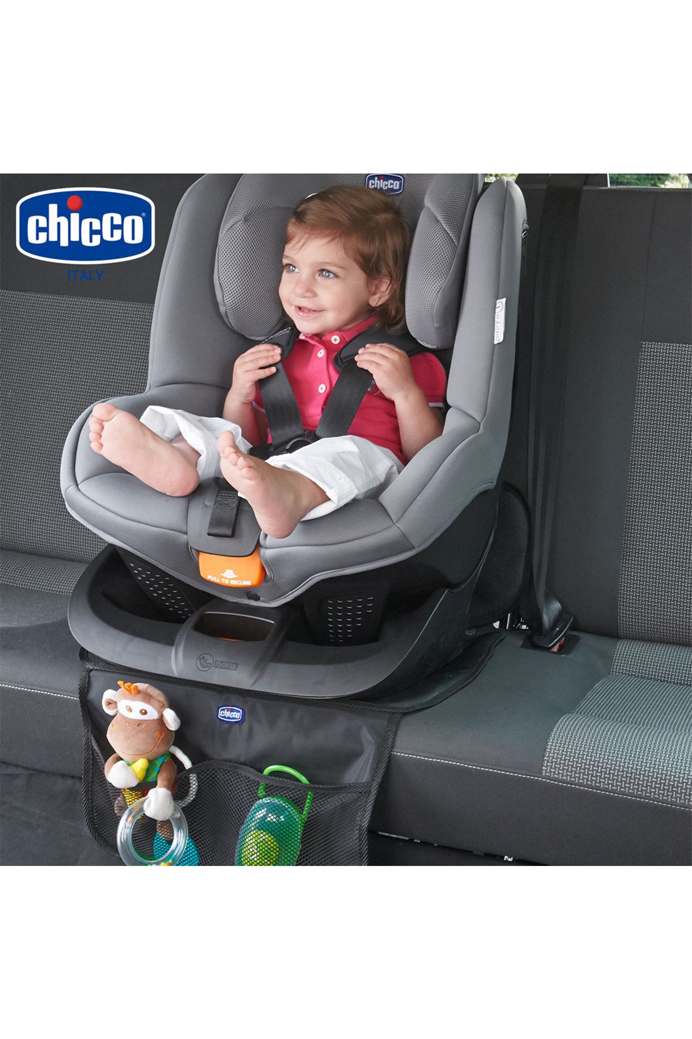 Chicco Deluxe Protection Car Seat