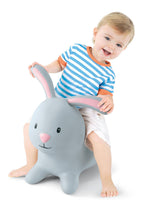 Load image into Gallery viewer, RABBIT
