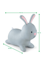 Load image into Gallery viewer, RABBIT
