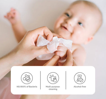 Hoppi Anti-Bacterial Wipes - 80 Pack X 3